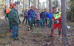 Motorsägenlehrgang der Hess GmbH Forstservice für Brennholzselbstwerber