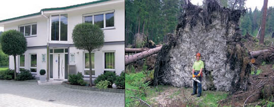 Firmengebäude der Hess GmbH Forstservice und Holzbearbeitung - Waldarbeiter bei Räumungsarbeiten