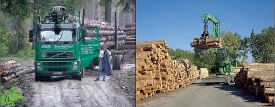 Abtransport von Holz - Holzlagerung nach Orkan Kyrill