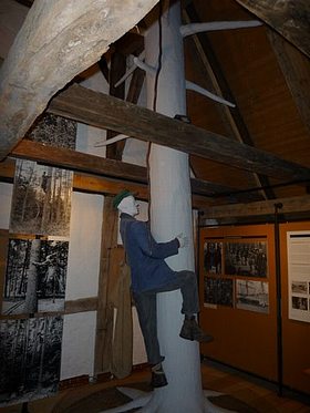Besuch des Forstamtes Siegen beim Sägewerk Schröpfer, dem Waldmuseum Watterbacher Haus und der Firma Hess GmbH Forstservice und Holzvermarktung