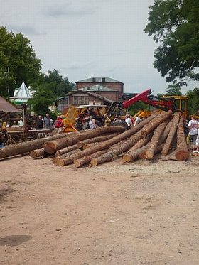 Ausstellung der Hess GmbH Forstservice und Holzvermarktung beim Tag der Franken