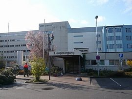 Sicherheitsfällungen beim Krankenhaus Erlenbach nach dem Orkan Emma